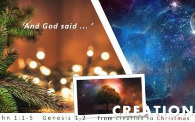 Advent 1 – Creation