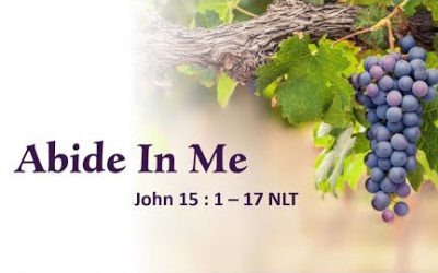 Abide In Me