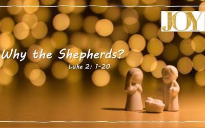 Why the Shepherds?