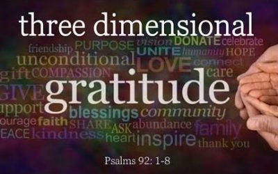 Three Dimensional Gratitude