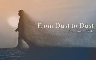 From Dust to Dust